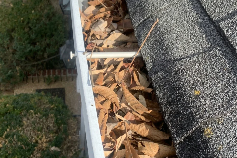 Gutter Cleaning Philadelphia PA