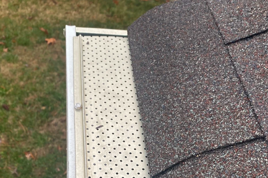 Gutter Cleaning Philadelphia PA