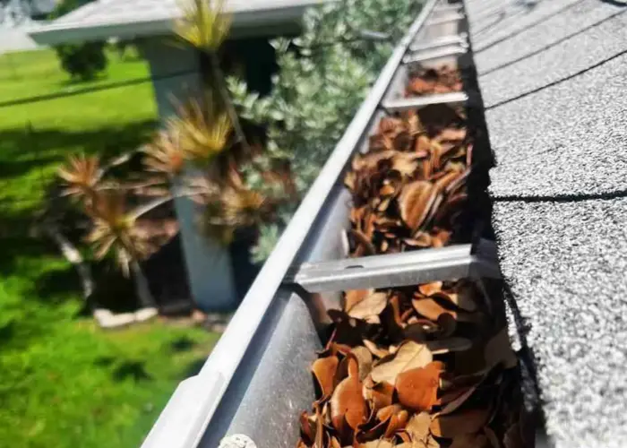 Gutter Cleaning Philadelphia PA home page